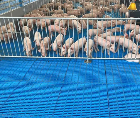 Rejas de suelo de fibra de vidrio de alta resistencia Rejas moldeadas de FRP para cabras de pollo de cerdo