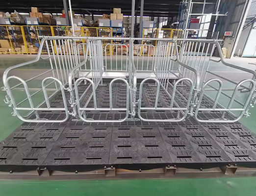 Fácil limpieza de la rejilla de protección de FRP GRP Pultruded de la rejilla de suelo 38x38mm de larga duración