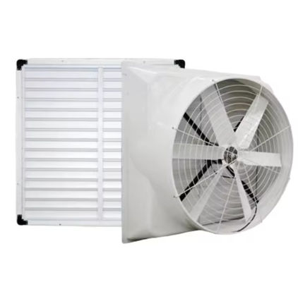 Ventilador de presión negativa de FRP montado en la pared Ventilación de techo Ventilador de escape de fibra de vidrio