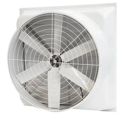 Ventilador de presión negativa de FRP montado en la pared Ventilación de techo Ventilador de escape de fibra de vidrio